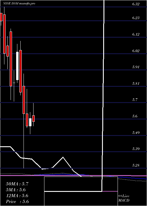 monthly chart DreyfusStrategic