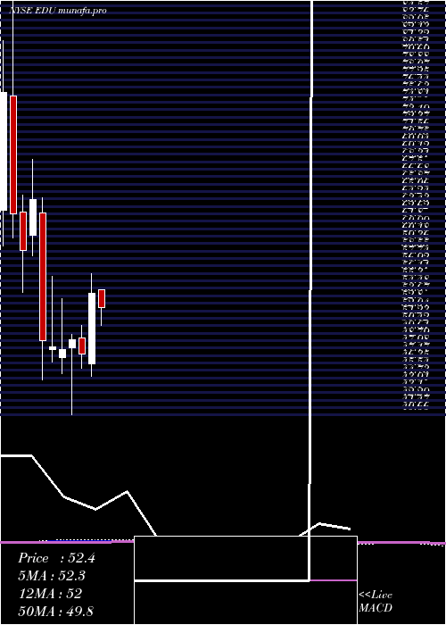 monthly chart NewOriental