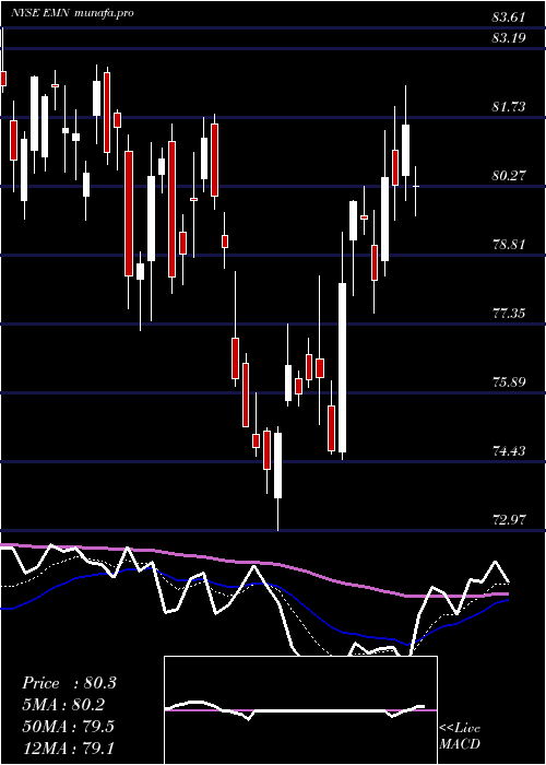  Daily chart EastmanChemical