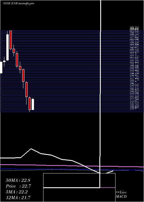 monthly chart EnergizerHoldings