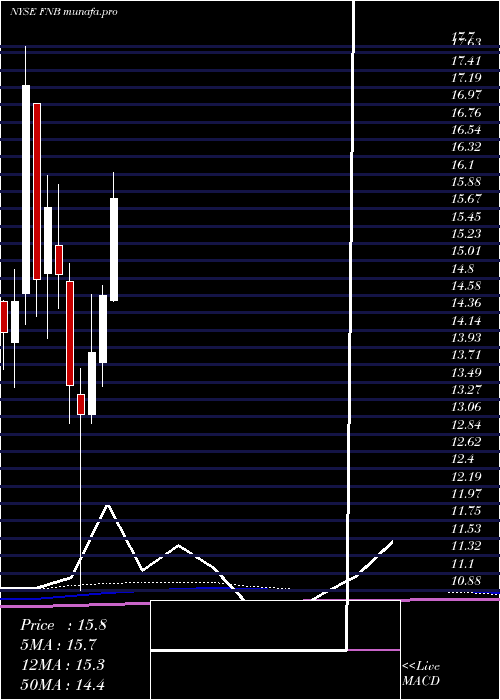 monthly chart FN