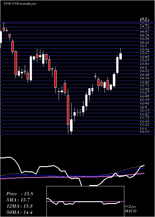 weekly chart FN