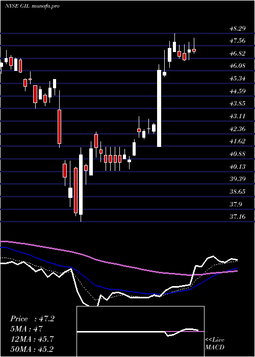 Daily chart GildanActivewear