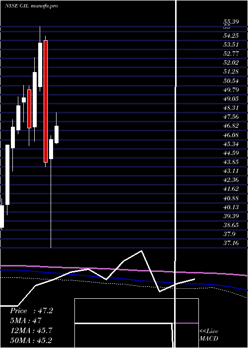 monthly chart GildanActivewear