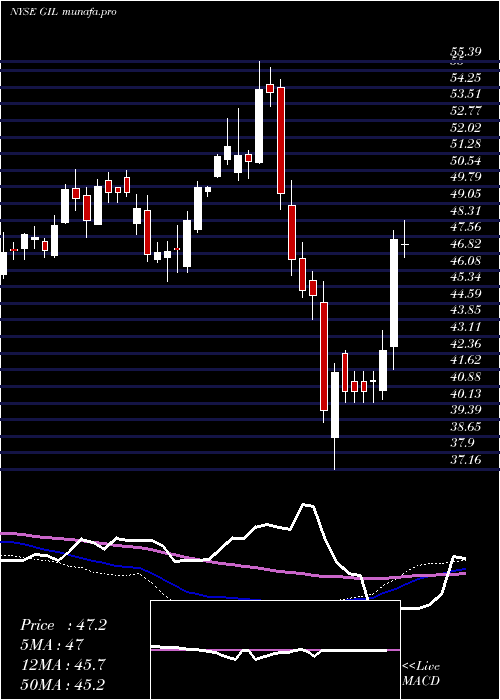 weekly chart GildanActivewear