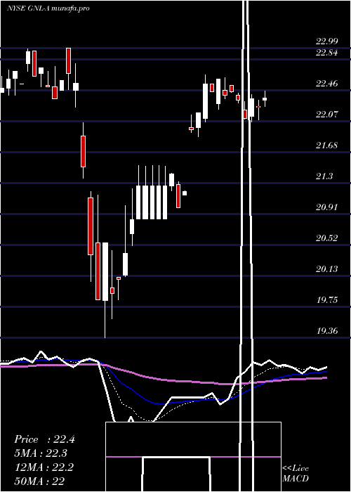 Daily chart GlobalNet