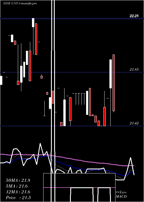 Daily chart GamcoNat