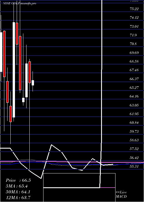 monthly chart AcushnetHoldings