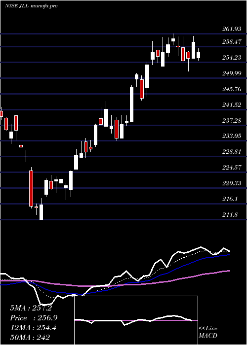 Daily chart JonesLang