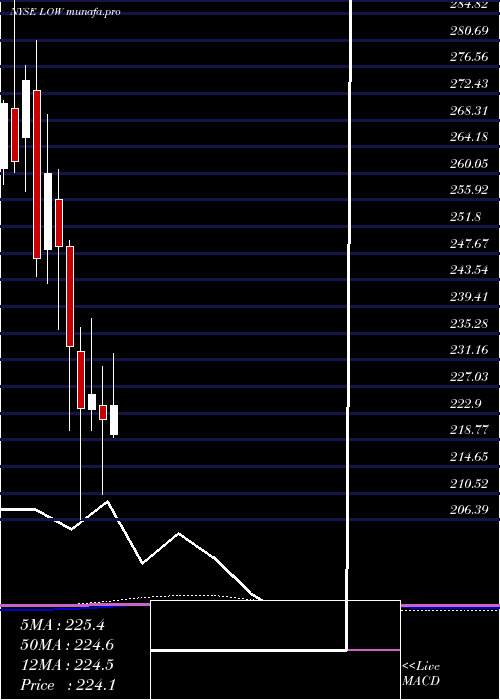 monthly chart LoweS
