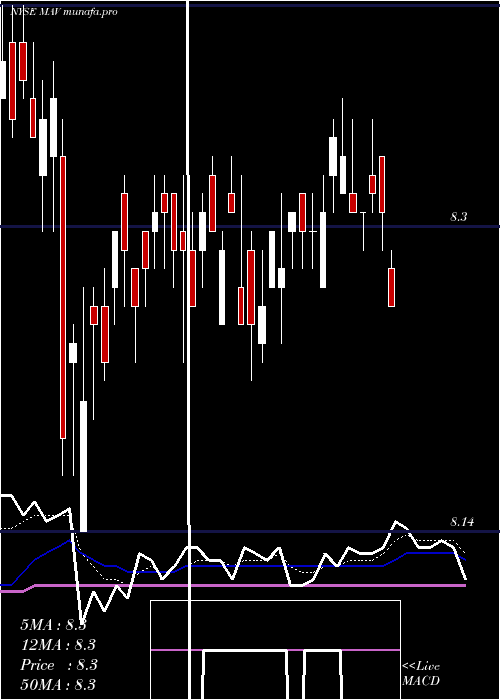  Daily chart PioneerMunicipal