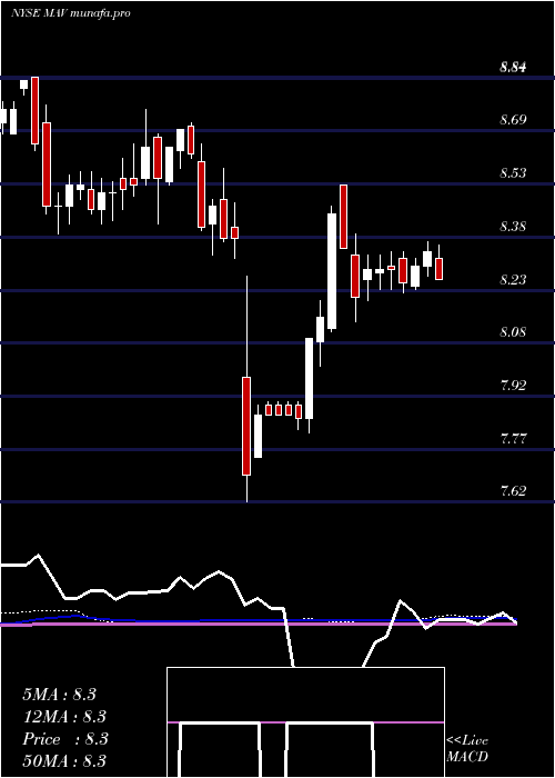 weekly chart PioneerMunicipal