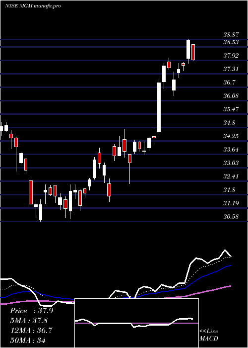 Daily chart MgmResorts