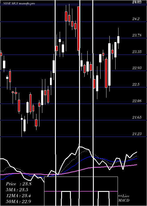  Daily chart MagnoliaOil