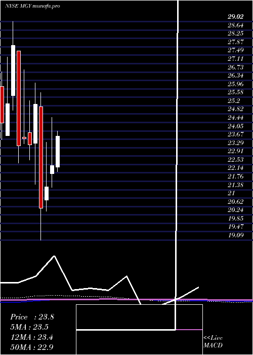 monthly chart MagnoliaOil