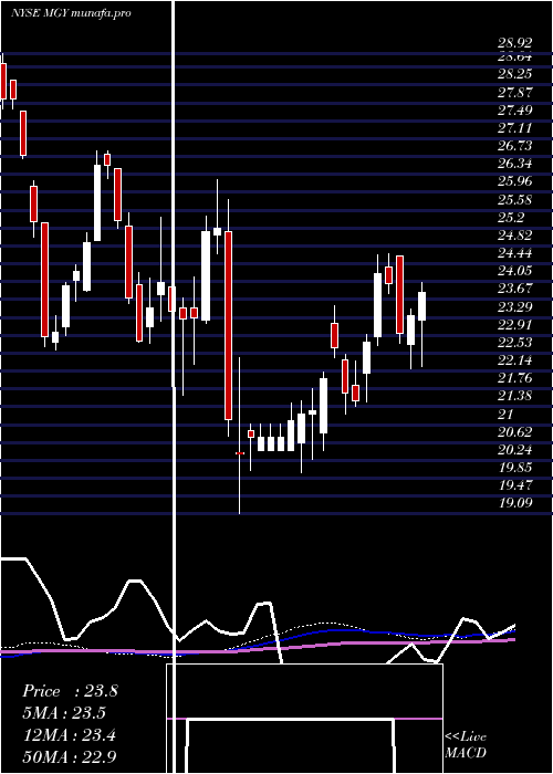 weekly chart MagnoliaOil