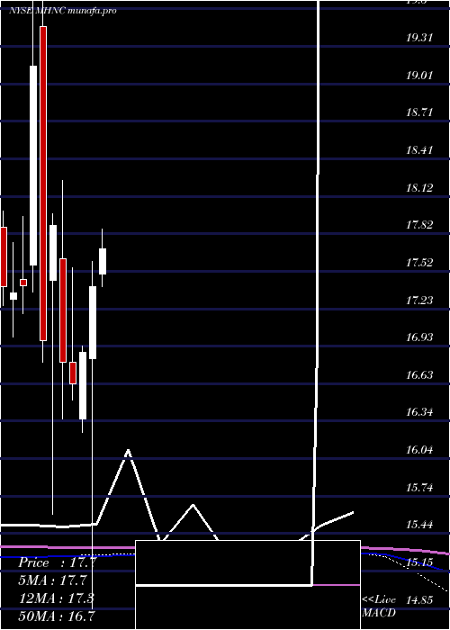 monthly chart MaidenHoldings