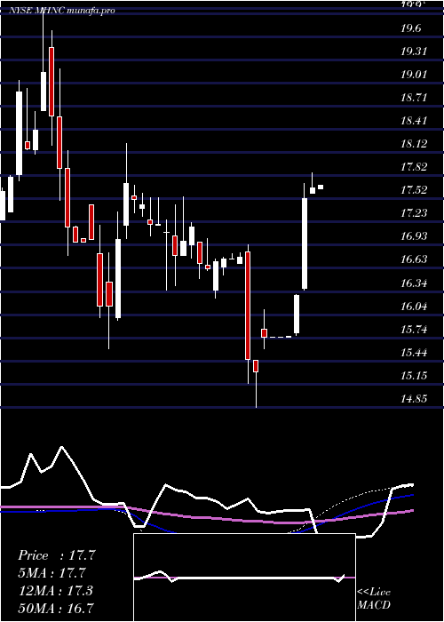 weekly chart MaidenHoldings