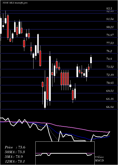 Daily chart MuellerIndustries