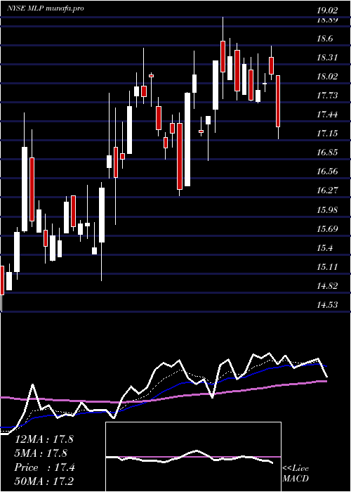 Daily chart MauiLand