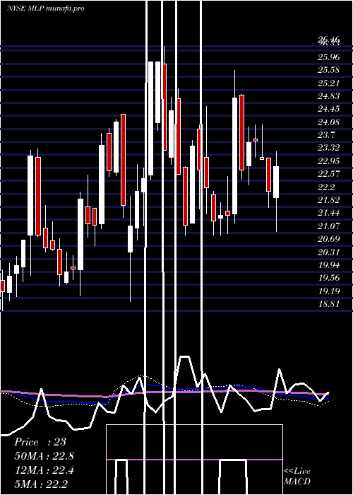  weekly chart MauiLand