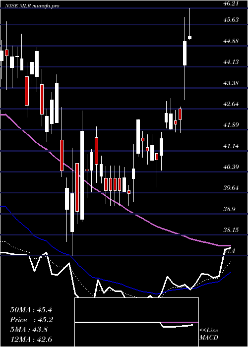  Daily chart MillerIndustries