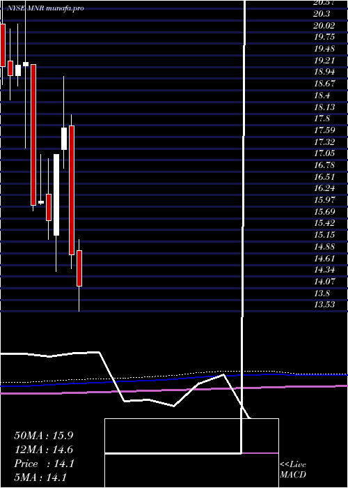  monthly chart MonmouthReal