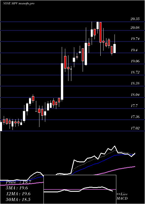 Daily chart BaringsParticipation
