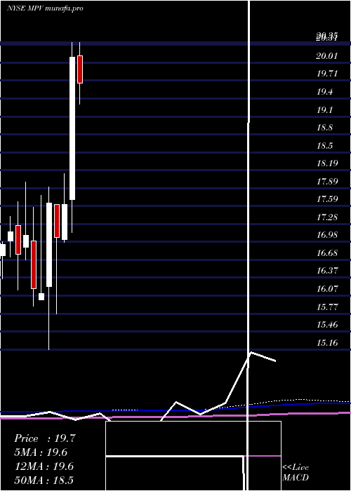 monthly chart BaringsParticipation