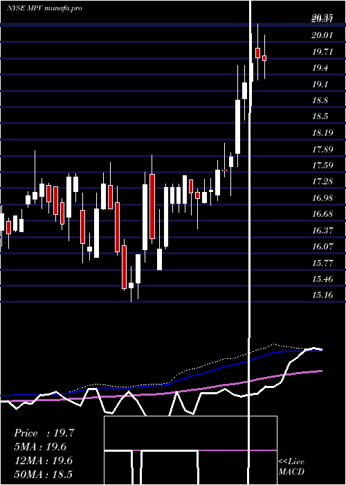 weekly chart BaringsParticipation