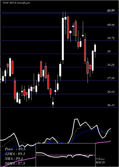 Daily chart MadisonSquare