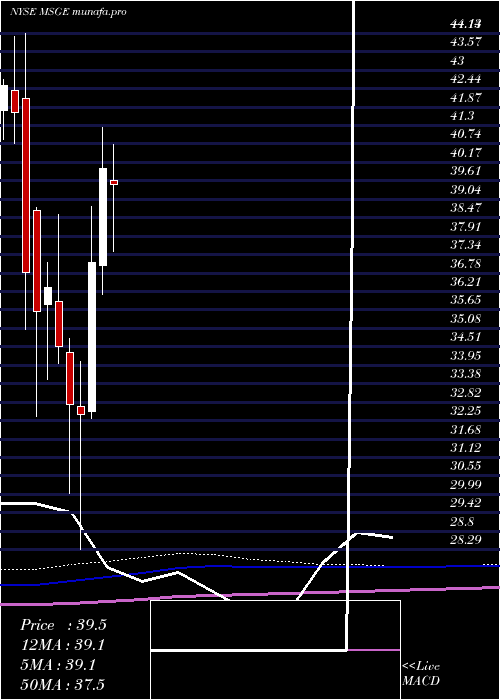 monthly chart MadisonSquare
