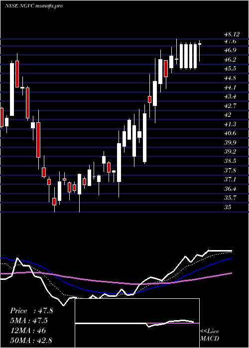  Daily chart NaturalGrocers