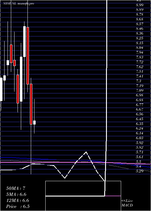 monthly chart NlIndustries