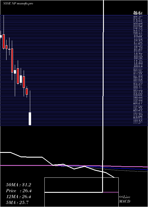 monthly chart NeenahInc