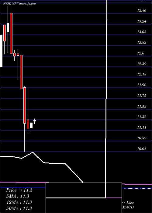  monthly chart NuveenVirginia