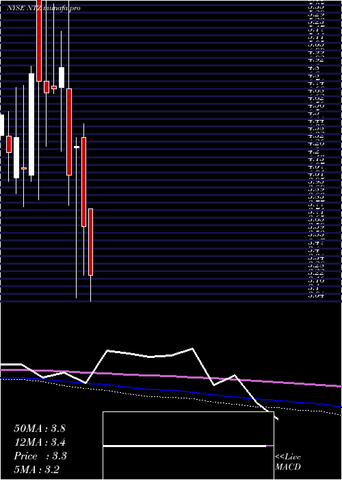 monthly chart NatuzziS