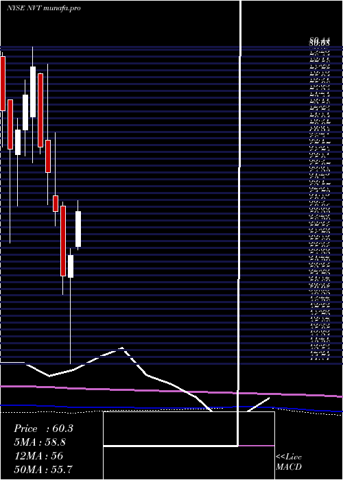 monthly chart NventElectric