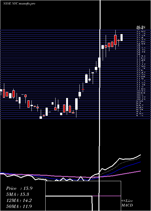  Daily chart NewYork