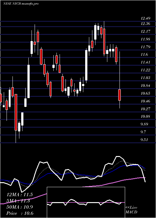 Daily chart NewYork