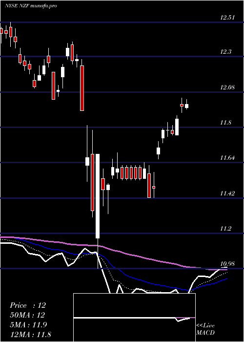Daily chart NuveenMunicipal