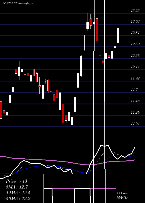  Daily chart PetroleoBrasileiro