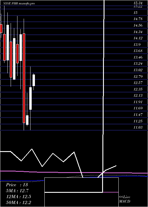  monthly chart PetroleoBrasileiro