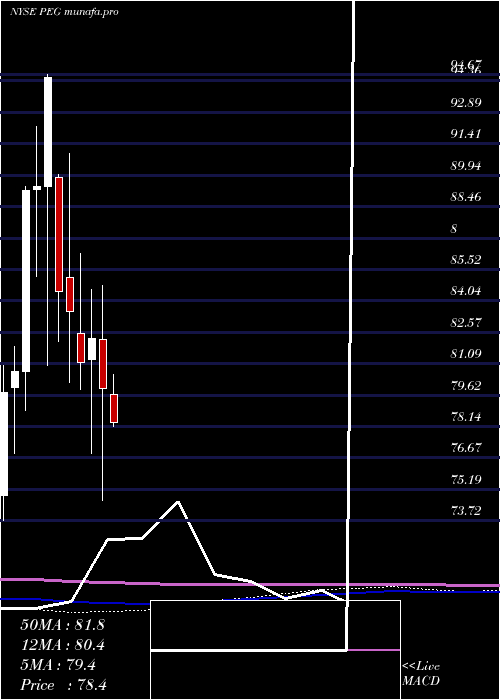 monthly chart PublicService