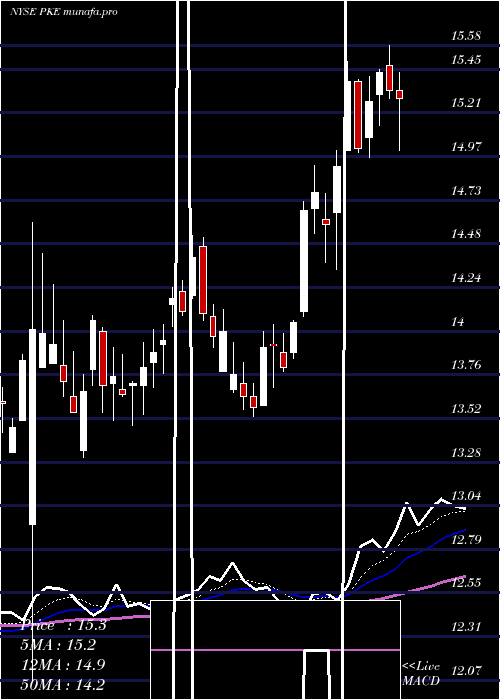 Daily chart ParkElectrochemical