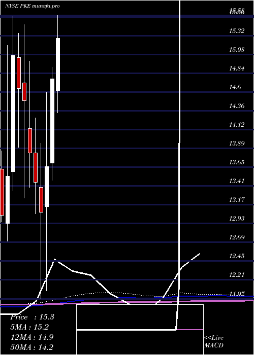 monthly chart ParkElectrochemical