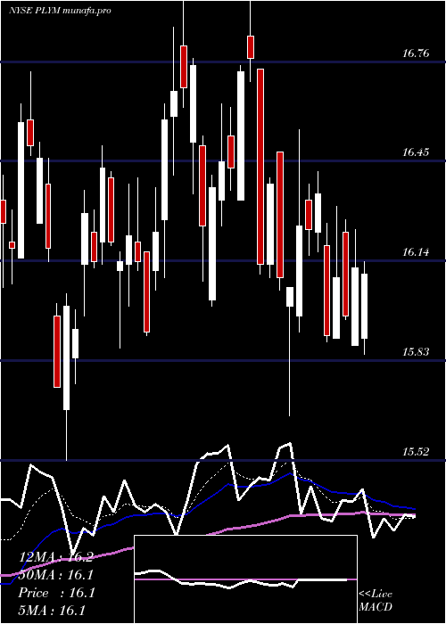  Daily chart PlymouthIndustrial