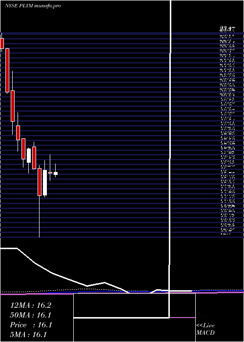 monthly chart PlymouthIndustrial