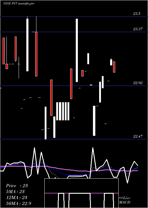  Daily chart PplusTrust