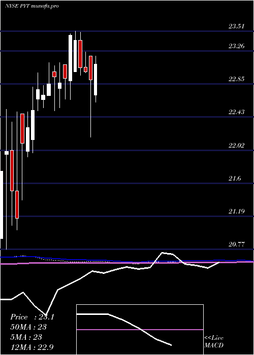  monthly chart PplusTrust